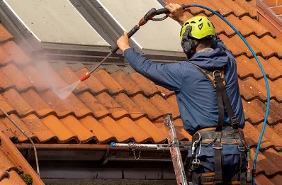 Démoussage et hydrofuge de toiture au Pellerin
